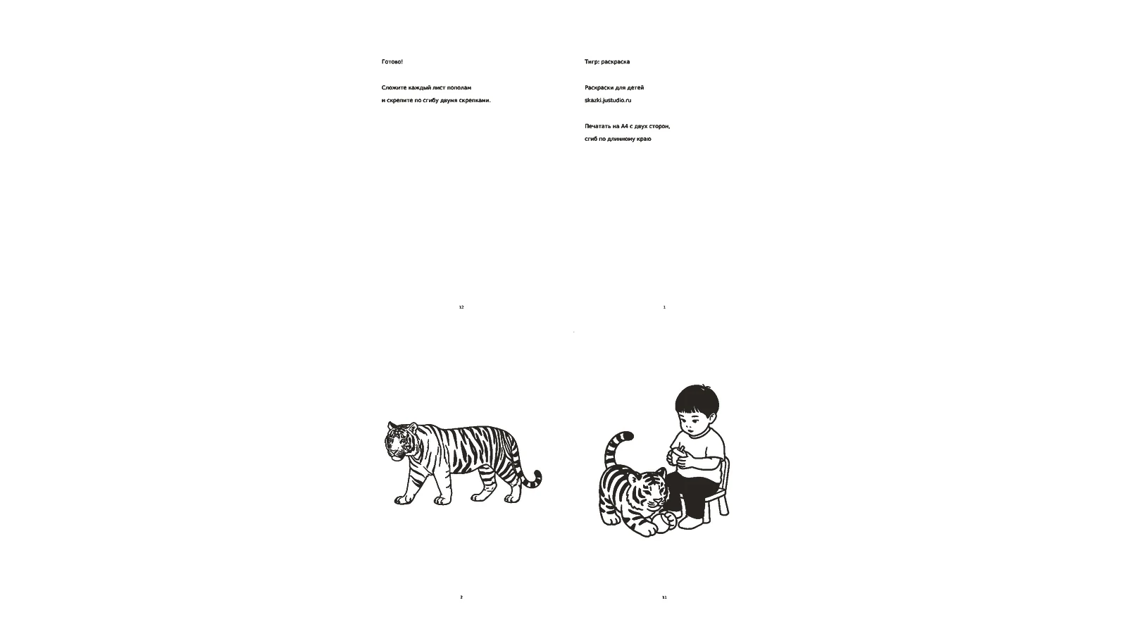 Раскраска: Книжечка «Тигр: раскраска»